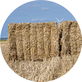 Hvad har hud og kulstof egentligt til fælles